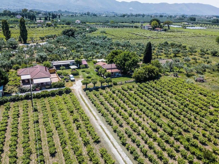 Authentic Country House In Zakynthos Ambelokipoi  Экстерьер фото