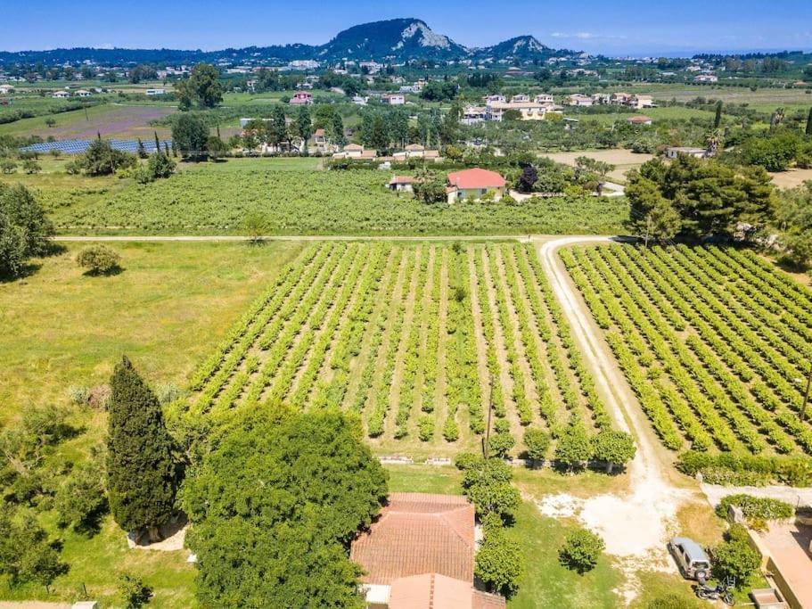 Authentic Country House In Zakynthos Ambelokipoi  Экстерьер фото