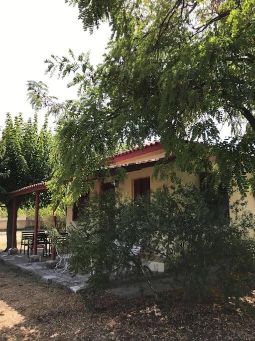 Authentic Country House In Zakynthos Ambelokipoi  Экстерьер фото