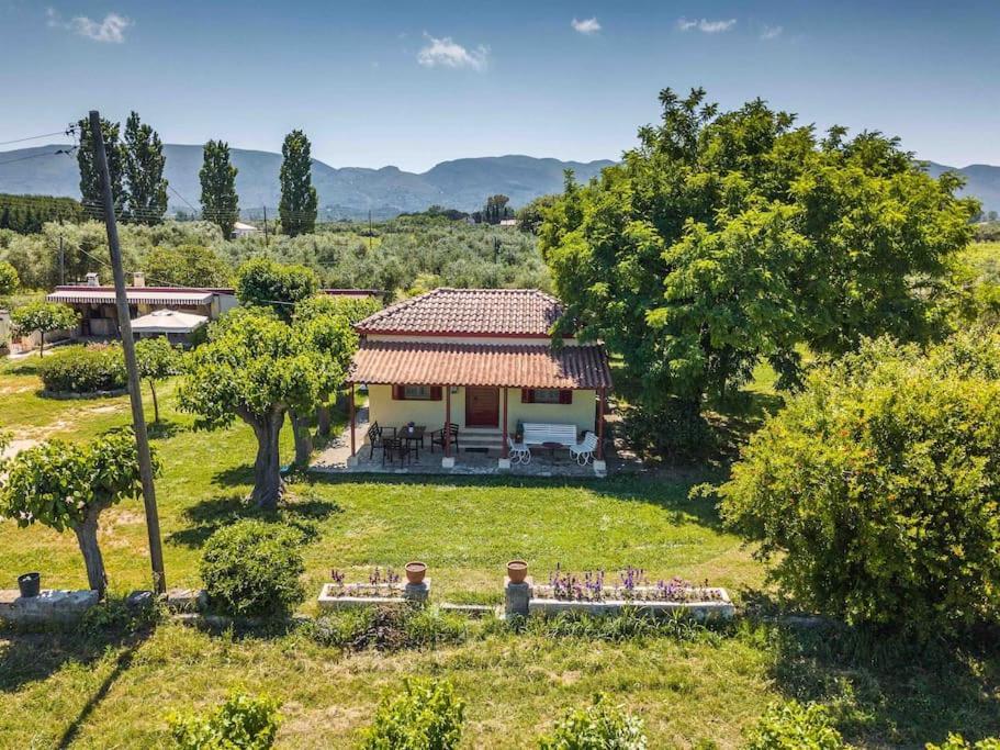 Authentic Country House In Zakynthos Ambelokipoi  Экстерьер фото